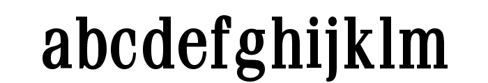 Feline Condensed Bold Font LOWERCASE