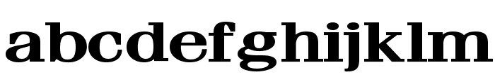 Feline Extended Bold Font LOWERCASE