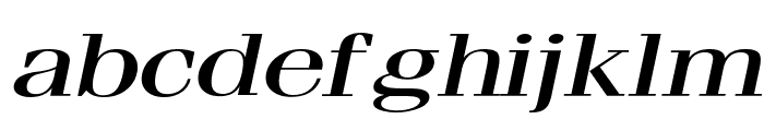 Feline Extended Italic Font LOWERCASE