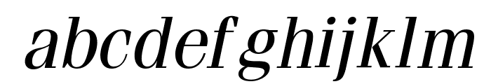 Feline Italic Font LOWERCASE