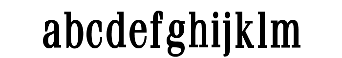 Feline Thin Bold Font LOWERCASE