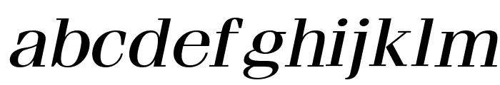 Feline Wide Italic Font LOWERCASE