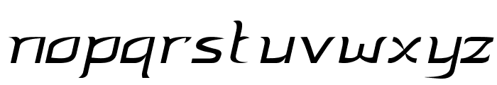 Ferris-Italic Font LOWERCASE