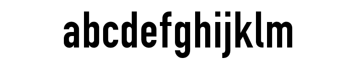Fette-Engschrift-Regular Font LOWERCASE