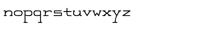 Feggolite Mono Bold Font LOWERCASE