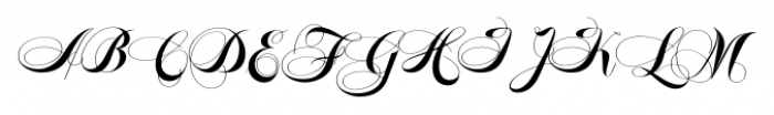 Felicita-Middle2 Regular Font UPPERCASE