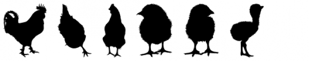 Feathery Font LOWERCASE