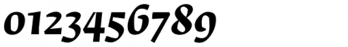 Fedra Serif B Pro Bold Italic Font OTHER CHARS
