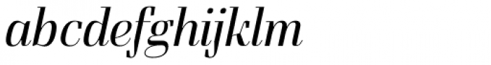 Felis Italic Light Font LOWERCASE