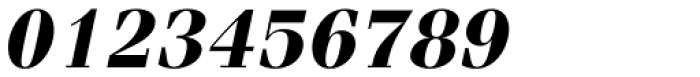 Fenice Std Bold Oblique Font OTHER CHARS