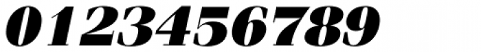 Fenice Std Ultra Oblique Font OTHER CHARS
