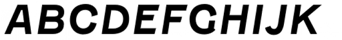 Fenwick Bold Italic Font UPPERCASE