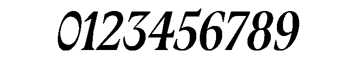 Fenul TRIAL CompressedBoldItalic Instance Font OTHER CHARS