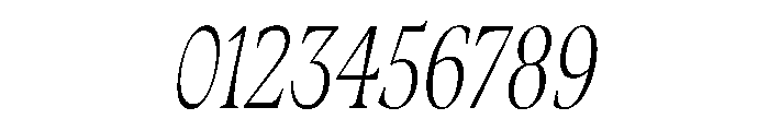 Fenul TRIAL CompressedBookItalic Instance Font OTHER CHARS