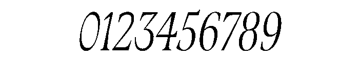 Fenul TRIAL CompressedRegularItalic Instance Font OTHER CHARS