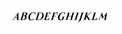 Felina Serif Extra Bold Italic Font UPPERCASE