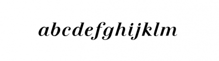 Felina Serif Extra Bold Italic Font LOWERCASE