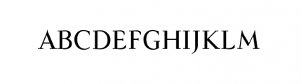 Felina Serif Regular Font UPPERCASE