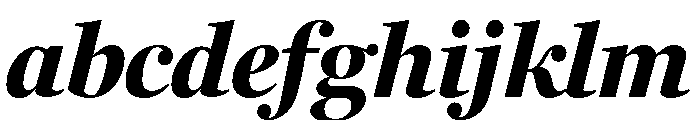 Fenway Banner Black Italic FONT