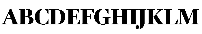 Fenway Banner Black Font UPPERCASE