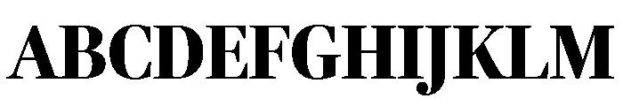 Fenway Banner Condensed Black Font UPPERCASE
