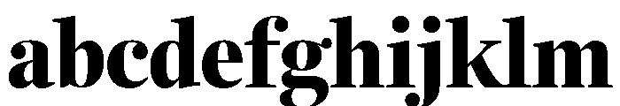 Fenway Banner Condensed Black FONT