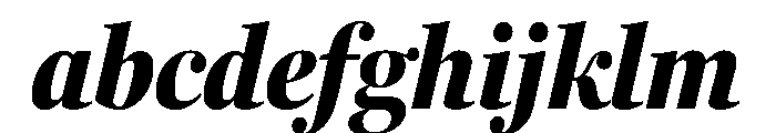 Fenway Banner Extra Condensed Black Italic FONT