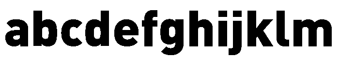 Ff Din Arabic Heavy FONT