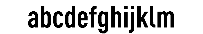 Ff Din Paneuropean Bold FONT