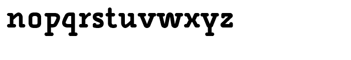 FF Alega Serif Bold Font LOWERCASE