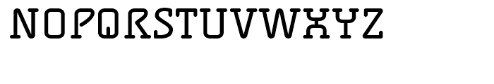 FF Alega Serif Regular Font UPPERCASE
