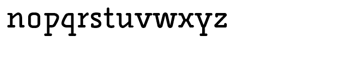 FF Alega Serif Volume Font LOWERCASE