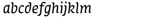 FF Amman Serif Regular Italic Font LOWERCASE