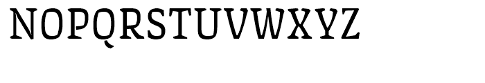 FF Amman Serif Regular Font UPPERCASE