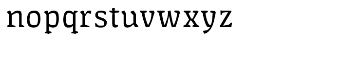 FF Amman Serif Regular Font LOWERCASE
