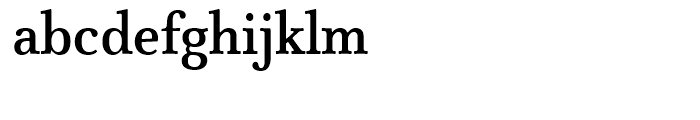 FF Atma Serif Medium Font LOWERCASE