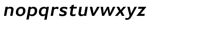 FF Basic Gothic Demi Bold Italic Font LOWERCASE
