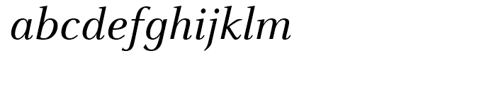 FF Celeste Book Italic Font LOWERCASE