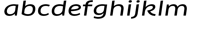 FF Clan Extended News Italic Font LOWERCASE