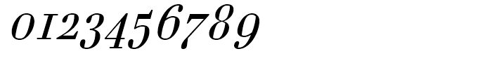 FF Danubia Regular Italic Font OTHER CHARS