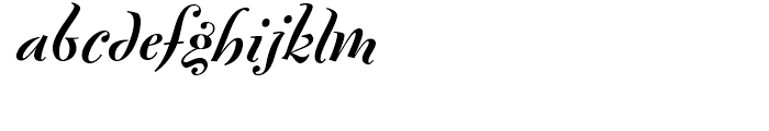 FF Fontesque Bold Italic Font LOWERCASE