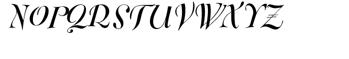 FF Fontesque Display Bold Italic Font UPPERCASE