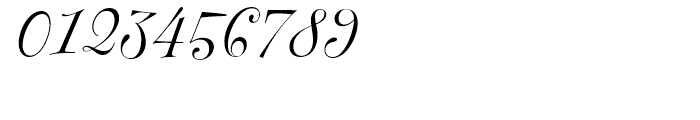 FF Fontesque Display Regular Italic Font OTHER CHARS