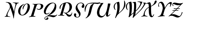 FF Fontesque Text Bold Italic Font UPPERCASE