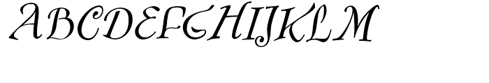 FF Fontesque Text Regular Italic Font UPPERCASE