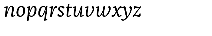 FF Franziska Book Italic Font LOWERCASE