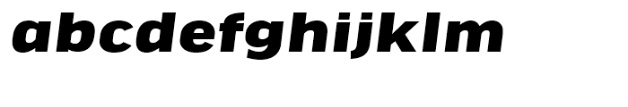 FF Good Headline Extended Black Italic Font LOWERCASE