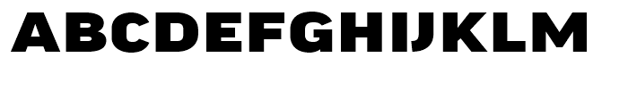 FF Good Headline Extended Black Font UPPERCASE