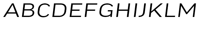 FF Good Headline Extended Light Italic Font UPPERCASE