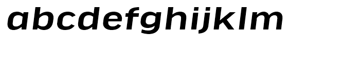 FF Good Headline Extended Medium Italic Font LOWERCASE